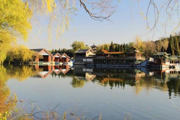 陈丽华是慈禧的什么人,跟溥仪有什么关系?为什么出生在颐和园