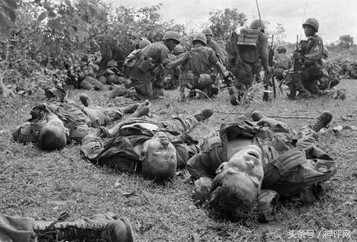 越南战争到底有多残忍?女兵受尽折磨大哭说:枪毙我!