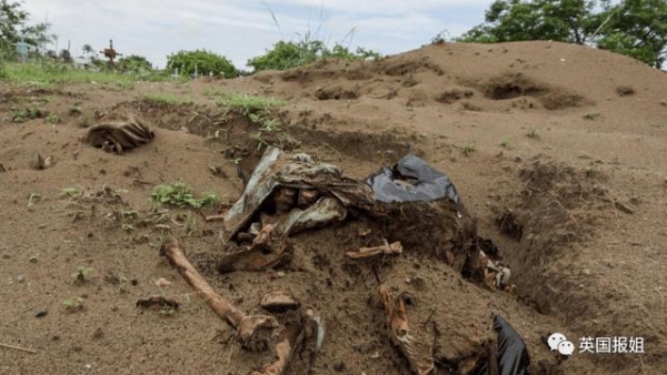 无数女孩被奸杀抛尸,女记者拼死查失踪真相,扒出恐怖万人坑