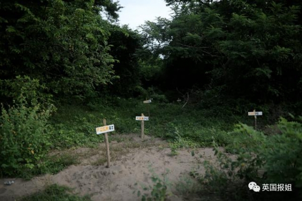 无数女孩被奸杀抛尸,女记者拼死查失踪真相,扒出恐怖万人坑