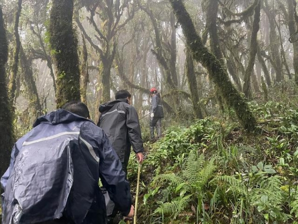4名地质调查人员遇难原因查明:哀牢山特殊气候导致体温过低