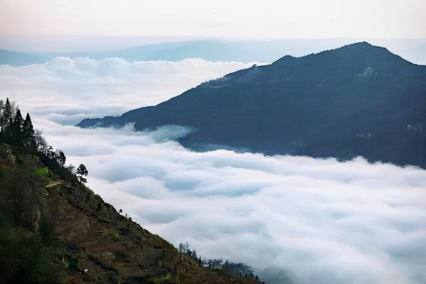 4名地质调查人员遇难原因查明:哀牢山特殊气候导致体温过低