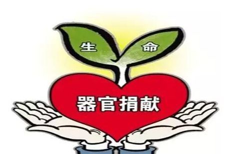 一条性命救四个人 这个38岁的南阳人感动了一座城,看完泪目......