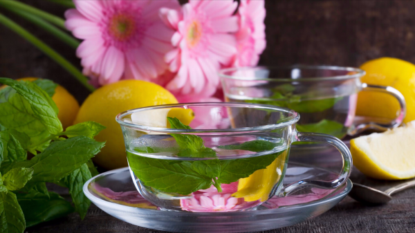 建议大家:不论工资高低,都要喝这4款花草茶,提神醒脑解春困