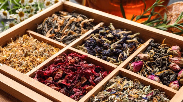 建议大家:不论工资高低,都要喝这4款花草茶,提神醒脑解春困