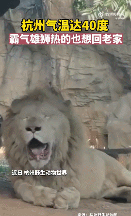 全国71个国家气象站高温破历史极值,高温影响超9亿人