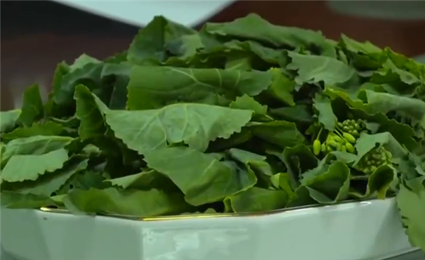 我国科研人员培育出板蓝根青菜:有广谱抗病毒功能