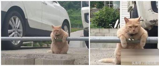 搞笑囧图:呦呵,葫芦娃长大了,竟然会撩蛇精