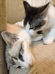 搞笑GIF:少年从小就经历长大该有的磨难,未来必定是可塑之才