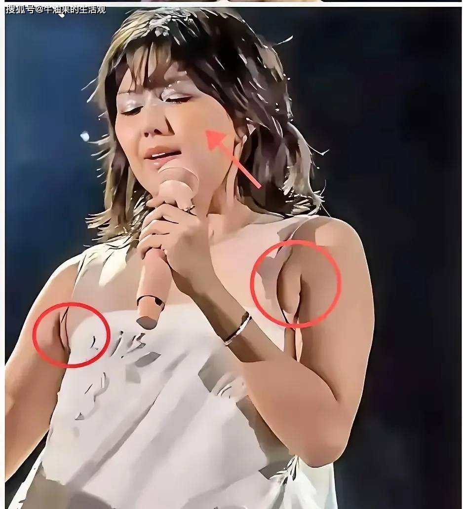 电子游戏不朽情缘网址孙燕姿演唱会被吐槽衣品差膀子太大发福成大