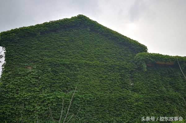 记忆:烟台福山曾经有个铜矿,中年以上的人都有印象