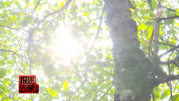 开元体育警惕！已有人白肺！临近夏季很多人都在用(图22)