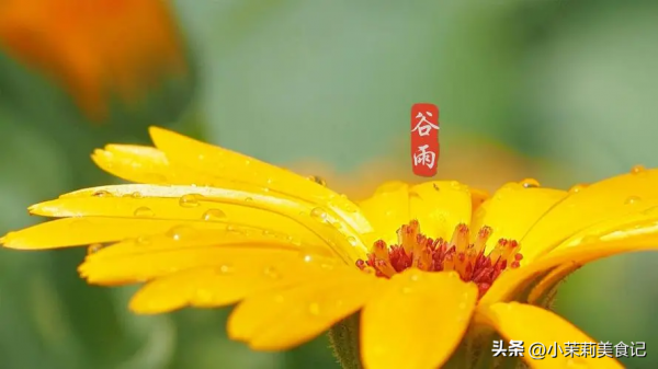 bandao.com老人说“谷雨时节有三忌”是哪三忌？(图1)