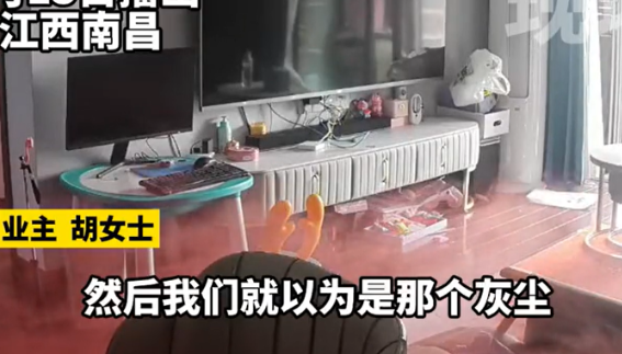 全屋变成“粉色定制”业主懵了