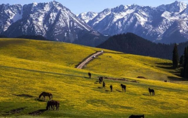 塔里木发现巨量地下水,被称“地下海洋”,规模是五大湖的10倍