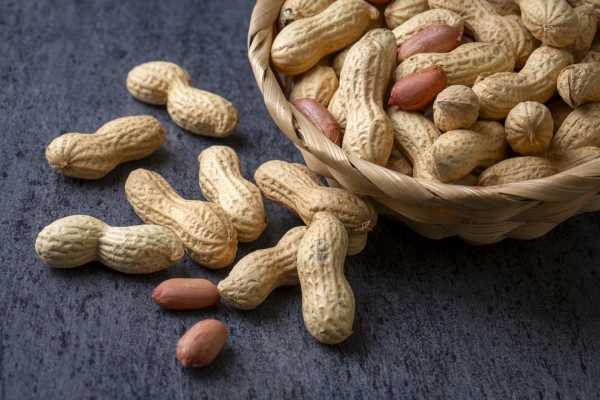 凯发一触即发|男男车车好快的车车真人免费网站|花生被关注！医生发现：糖尿病常吃花