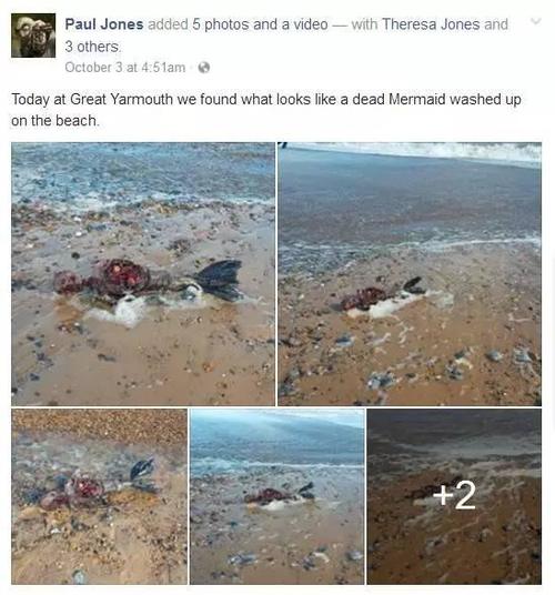 英国海滩惊现腐烂美人鱼死状惊悚