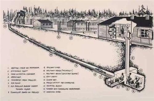 二战最“搞笑”的越狱：600人偷挖隧道1年，逃跑时才发现少挖3米