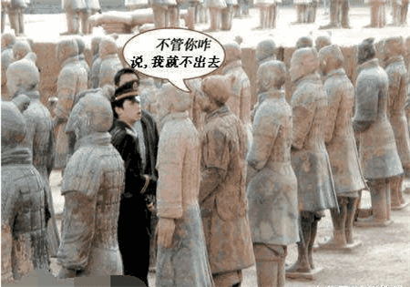 德国小伙自制兵马俑服装跳进俑坑被警察费劲找出网友厉害了