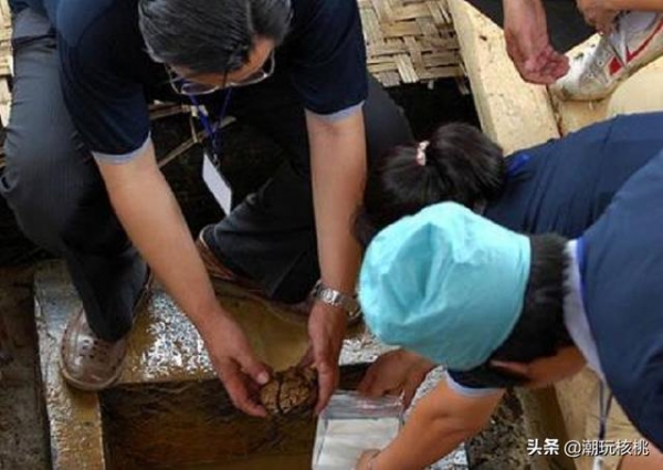 2500年前的李洲坳墓被挖出，发现一颗“人脑”，专家：难以置信