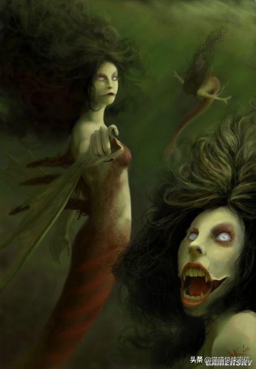 深海人鱼挚爱人类腐尸她们是梦幻精灵还是噬人煞神