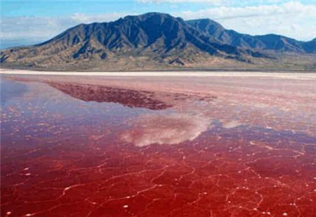 非洲独一无二的血湖湖水温度达50多度周围遍布动物化石2