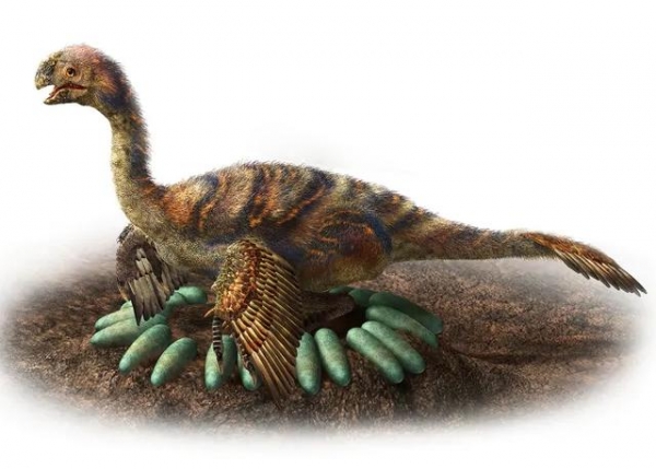 古生物之谜恐龙孵蛋如何做到蛋不破在化石中能找到答案