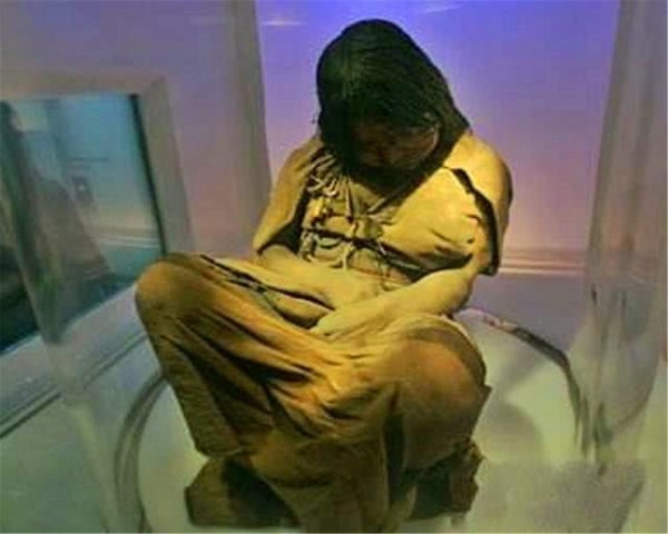 随着影视行业的不断发展,有不少人喜欢观看木乃伊类的电影.