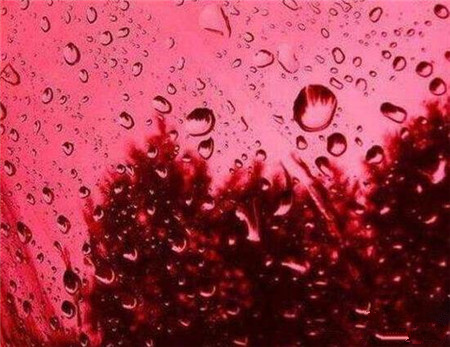 印度天降红雨雨中发现神秘生物真的是外星文明操控的吗