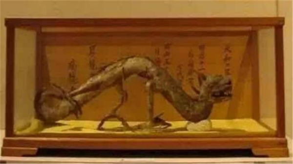 中国出土的两条“龙”，一条被日本博物馆收藏，另一条已2亿多年