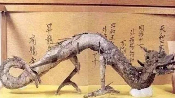 中国出土的两条“龙”，一条被日本博物馆收藏，另一条已2亿多年