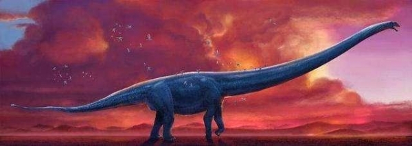 盘点世界上体型最大的十大恐龙每一种都比七层楼房还要高大3