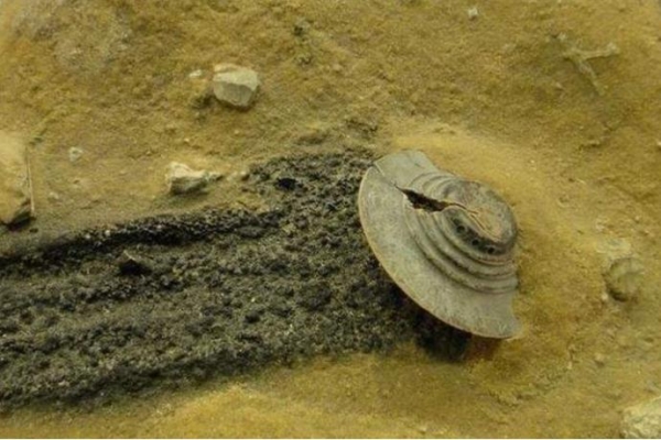 1985年发现的ufo碎片上面竟有汉字这和我们有什么关系