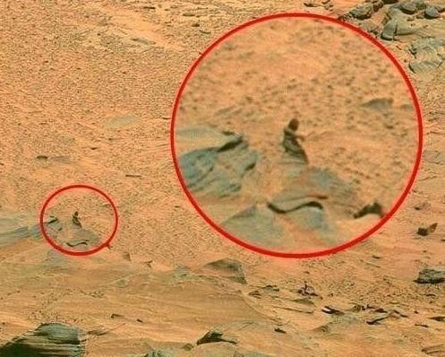 但是最近有个昆虫学家却声称自己找到了火星生命
