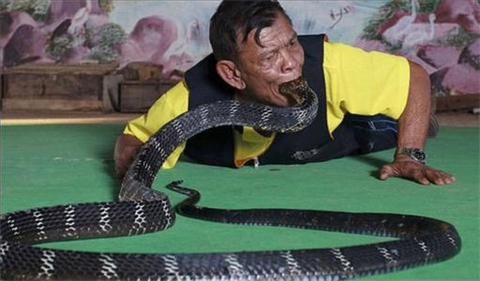 泰国蛇王传说图片