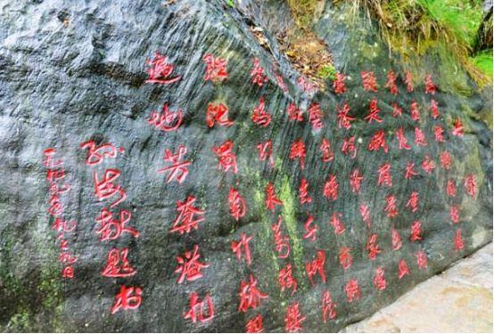 四万远征军遭遇背叛躲进野人山，一万人幸存，女兵讲述当年惨状