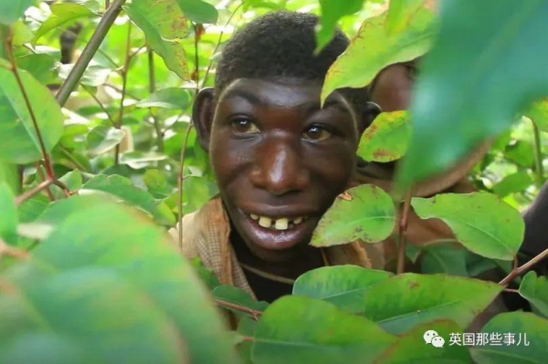 男孩长相返祖只吃水果被村民当猴子霸凌让人心碎