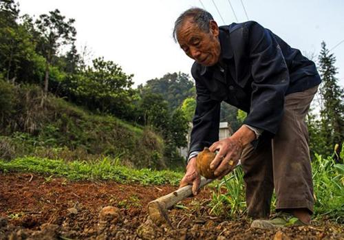 农民退休制度惹争议？65岁农村老人可领养老金，为何有人反对？