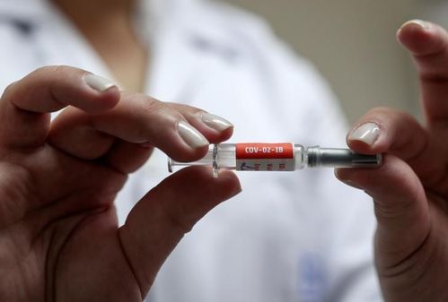 巴西卫生部长 将使用中国新冠疫苗