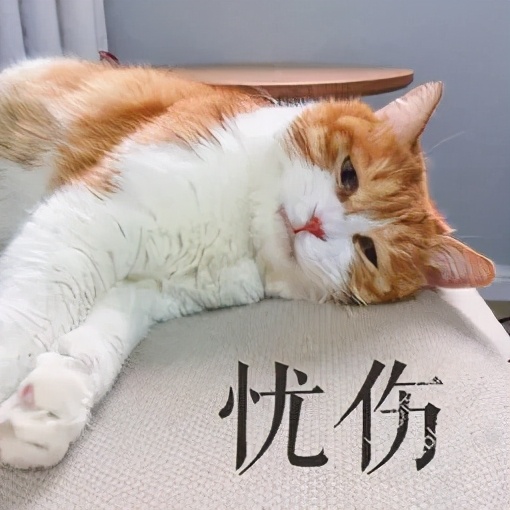 女子找私家侦探调查老公，结果自己摊上大事了……
