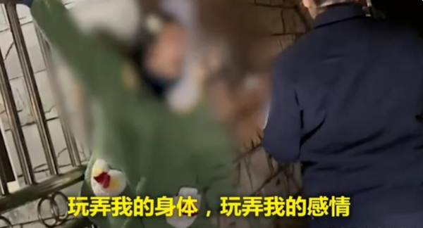 重庆女孩街头痛哭：玩弄我的感情，他有老婆孩子，我不想做小三