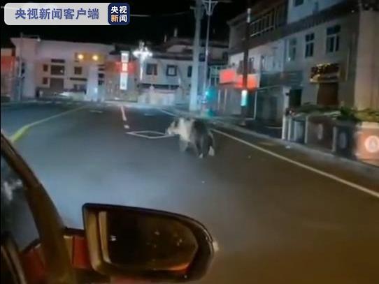 è§é¢ä¸¨åå·ç³æ¸&nbsp;ä¸æ£çåæ¨å¨é©¬è·¯å¥è·,æªé&nbsp;æå¨è¾¹äººåä¼¤äº¡