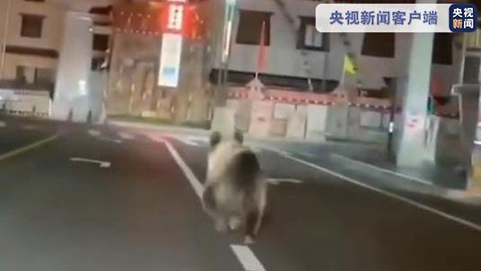 è§é¢ä¸¨åå·ç³æ¸&nbsp;ä¸æ£çåæ¨å¨é©¬è·¯å¥è·,æªé&nbsp;æå¨è¾¹äººåä¼¤äº¡