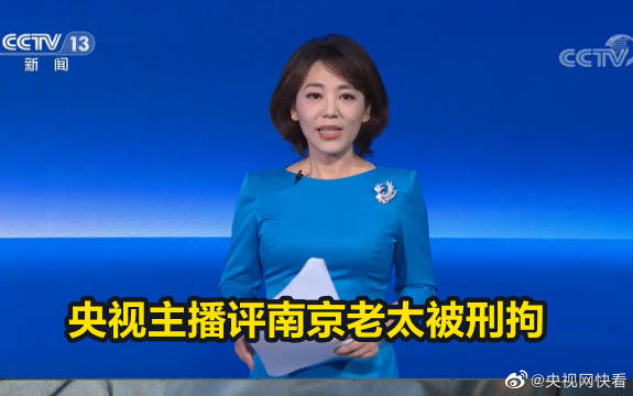 央视主播评南京老太被刑拘 你对社会不负责任法律就要叫你负责任