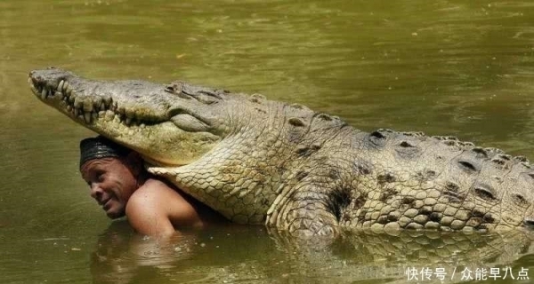 男子救了一条受伤的鳄鱼之后鳄鱼用余下的一生来报答他