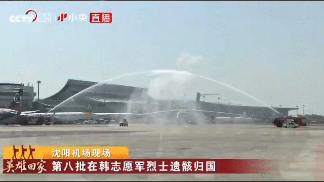 109位在韩中国人民志愿军烈士遗骸回国 7个泪目瞬间