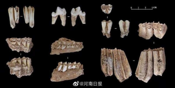 河南发现3万年前现代人头骨，网友：仙人洞里住仙人