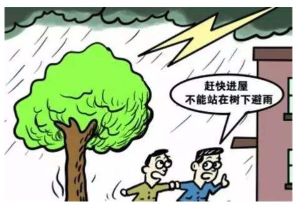 夏季雷雨季,你该教会宝宝如何防雷电