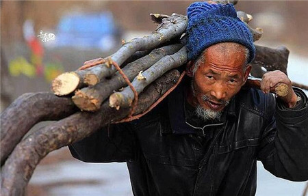 老汉上山砍柴众林中传来异响拨开众林竟救下全村人性命2