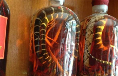 男子捉到眼镜王蛇泡酒三个月后打开一瞬间的画面让人不淡定